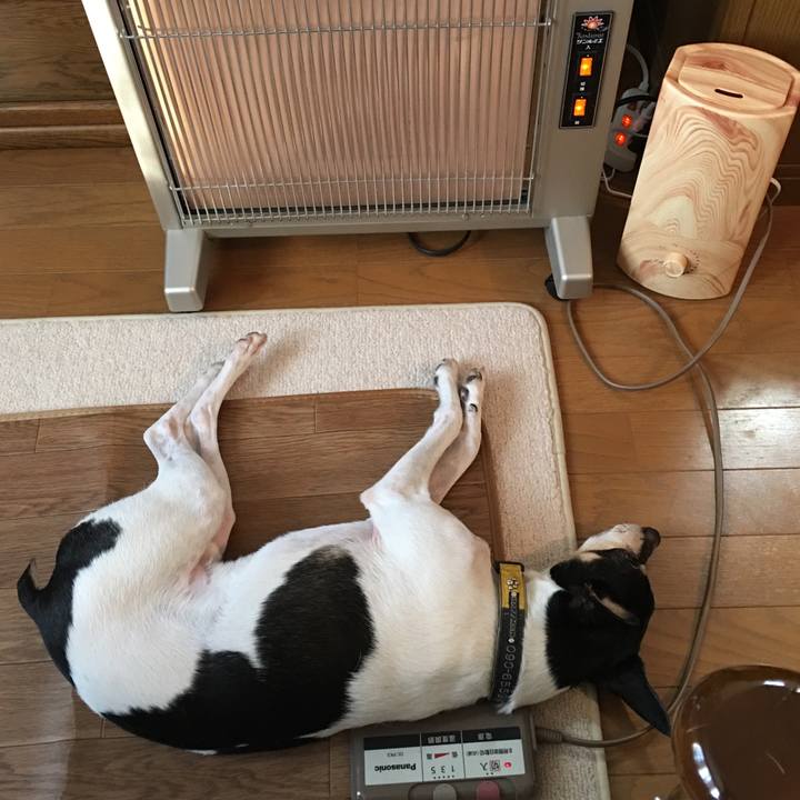 0359f81d 5dde 4d5e 87b5 dd5852d528e7