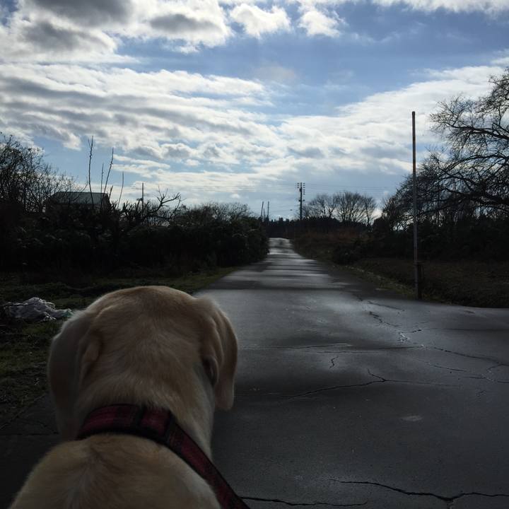 0359ff17 0743 4512 9789 58092843de77