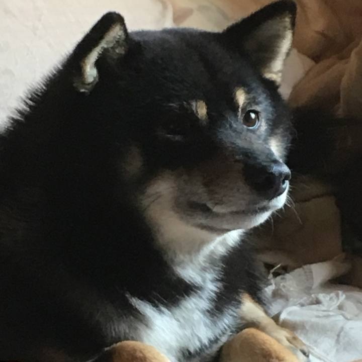 035a2d0f ca8e 4c88 bdc5 7695d3cf2074