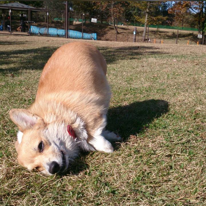 035acba5 fd21 4a51 acb3 a07130ed7fad