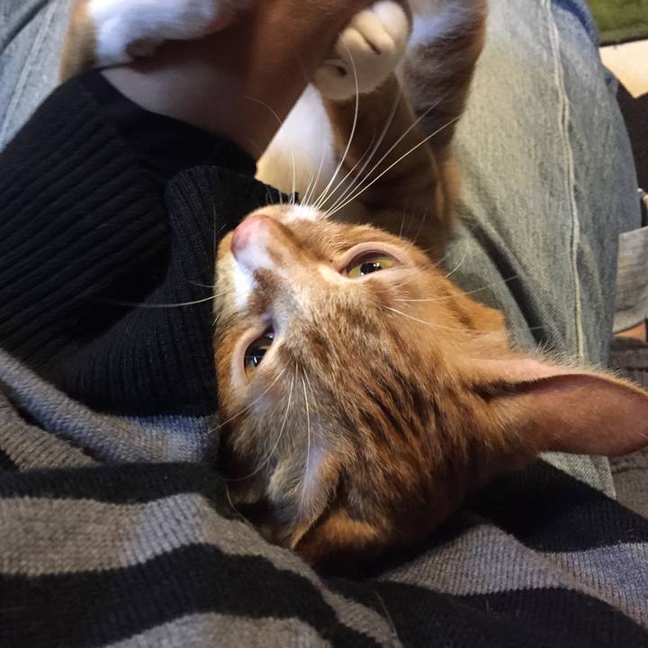 035b3dd8 da0b 4191 be2e 91ae5c2ea67b