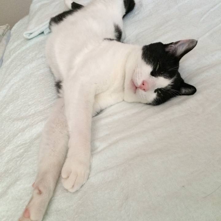 035b433c 023d 48d7 9e7c 4166ce9855b8