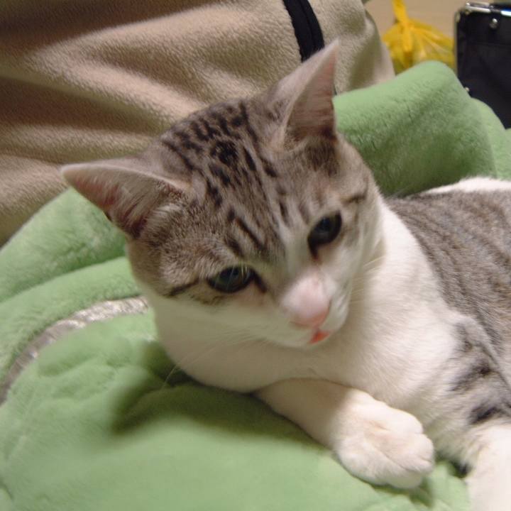 035b444d 1a32 4a68 98a6 d18654afde0f