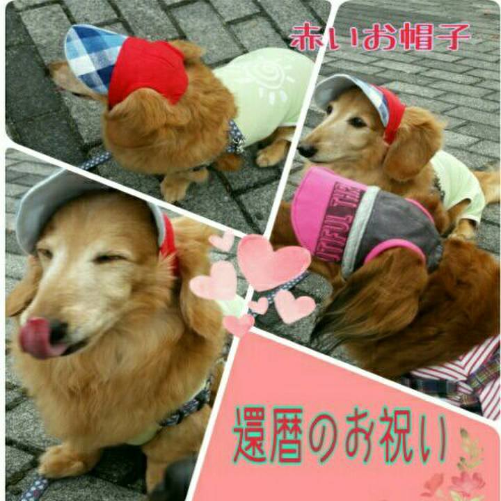 035b8dfc 7bdf 480d 9bc7 351cca0c5e4f