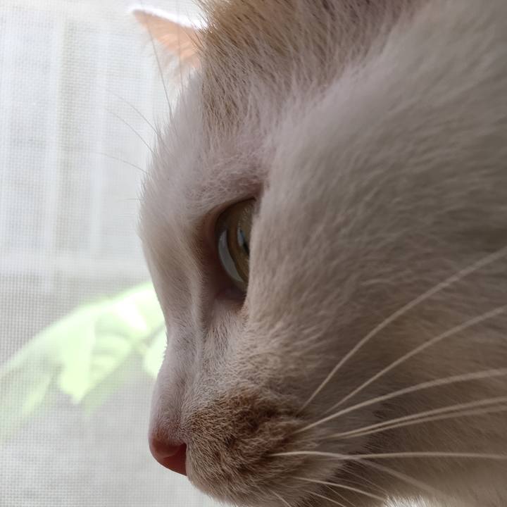 035c91e5 7d46 4fb6 ba63 1ca143a5e160