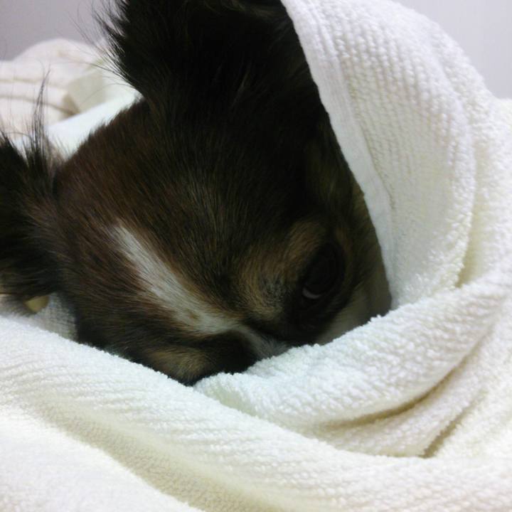 035c9298 0add 40f3 9abe ae3c9ec77edf