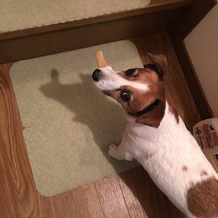 035d2fa8 2efc 4ed3 bfd5 129d5d0a8bbd