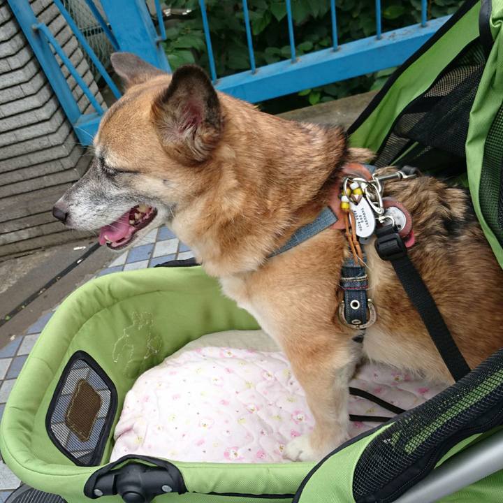 035d4474 9b78 4942 8ff9 aa8a512797e9