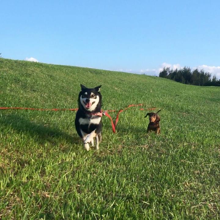 035dd509 ec5a 406e a6cb 24762fd47ab3