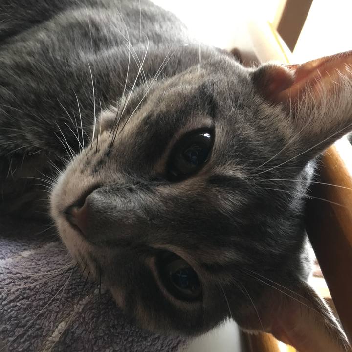 035e4caa 520c 458e a57f 2bdcf6672ebb