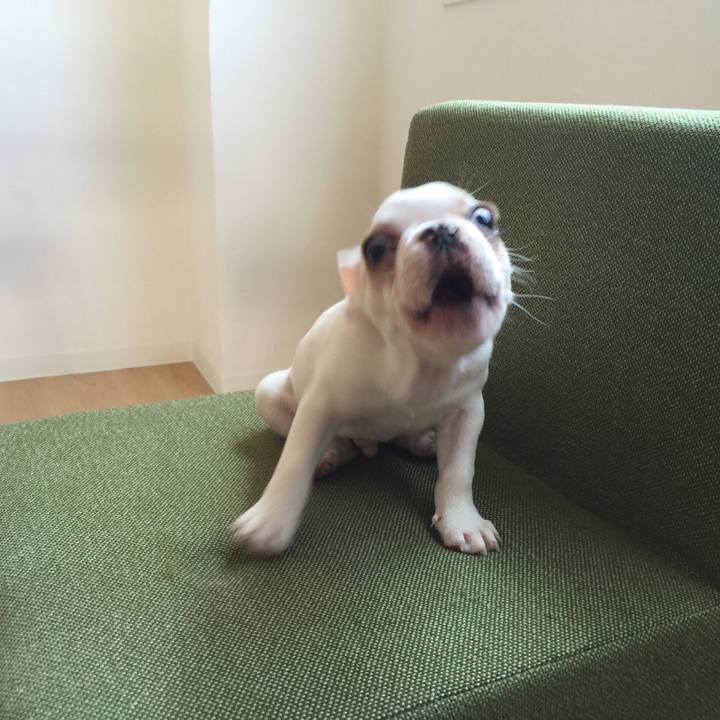 035e7ea7 983a 445b 85c2 4086855a20a5