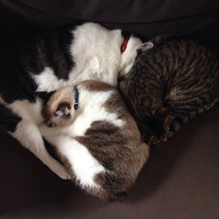 0360fd89 4e8f 4ba7 a18a 93b613c26633