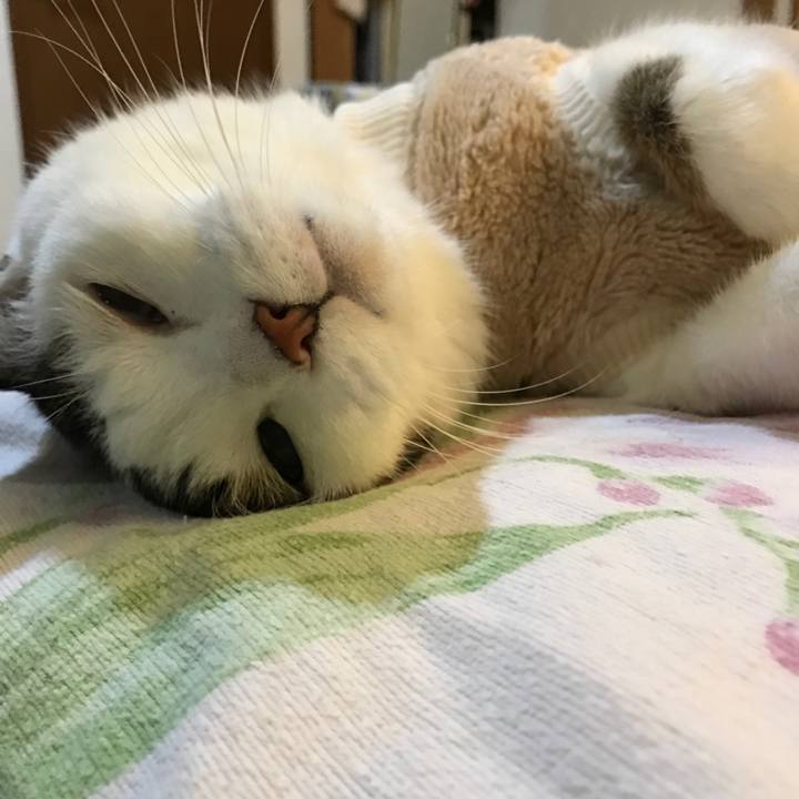 03616415 6ed4 4782 bc12 26965d88de79