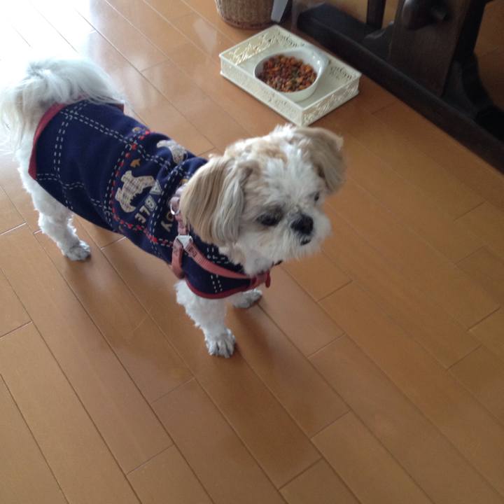 036179d5 5483 44be 9728 b9d1649aca2b