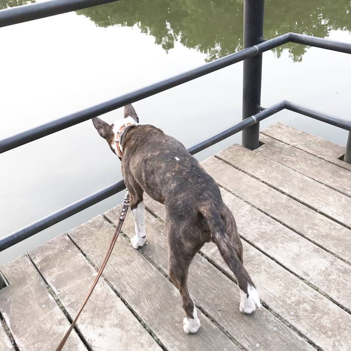 0361b07e 89f4 4838 9be3 8ed647ef700b