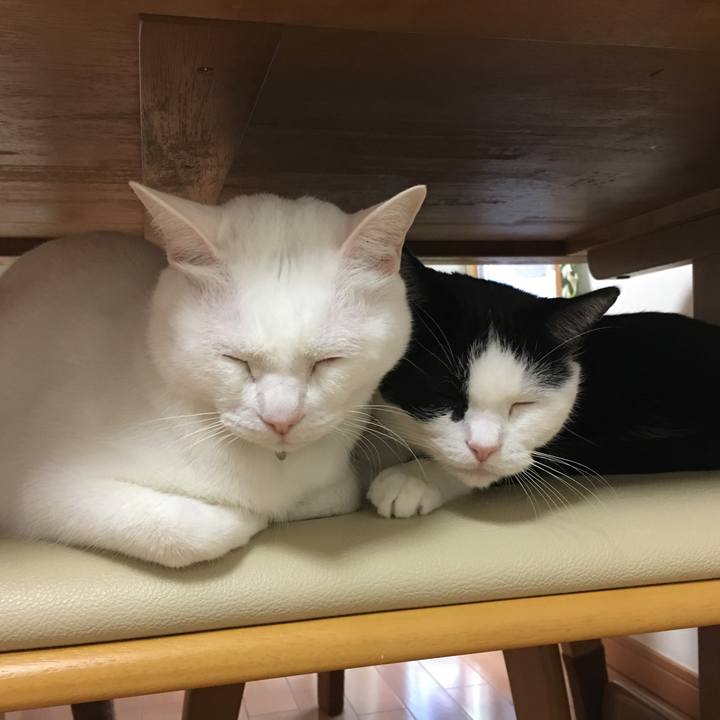 036265ee 9dbb 4621 ac55 b8c7bd07a5e7