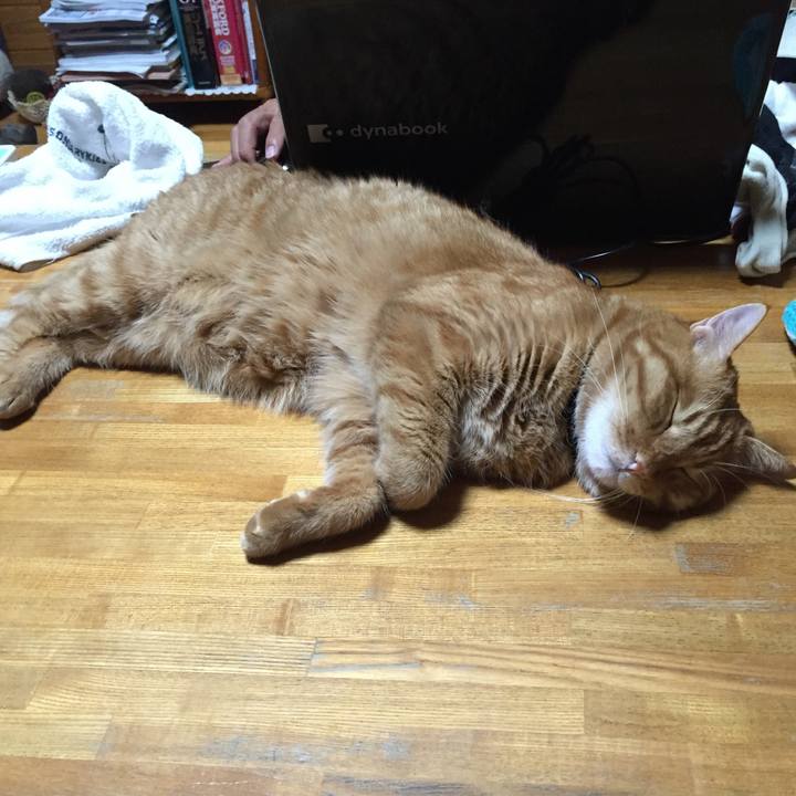 0362826a 6f74 4e8b b7d0 c4463f889cc5