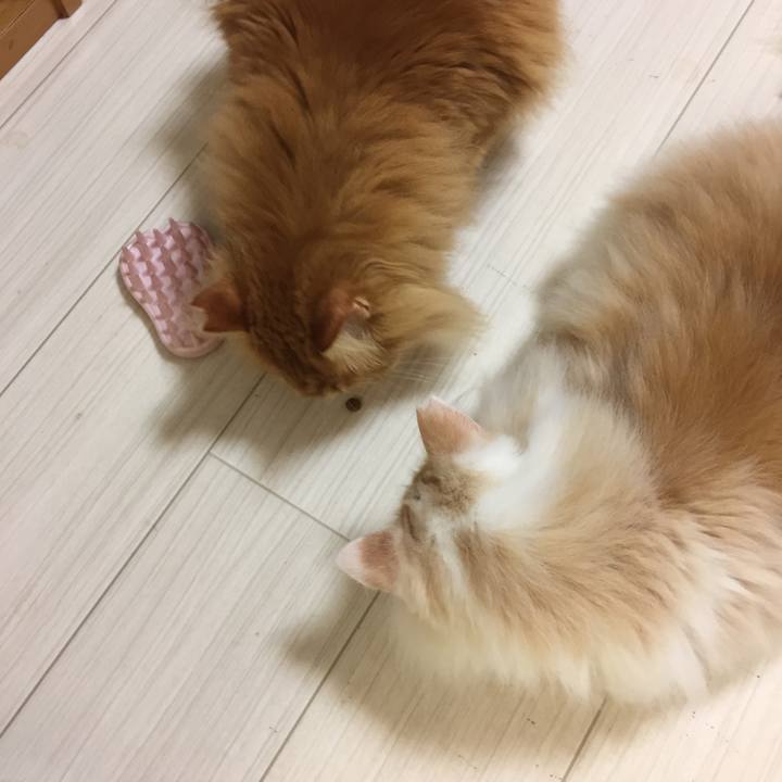 0362b3e0 7e9c 41e1 9ba0 3b36f7c116d3