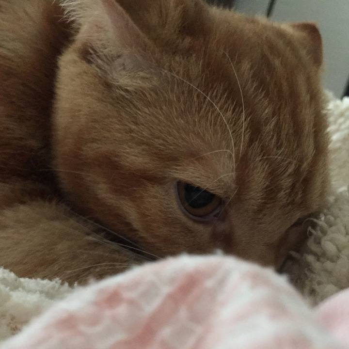 03630283 c596 47d0 ab37 b2d3f4e563db