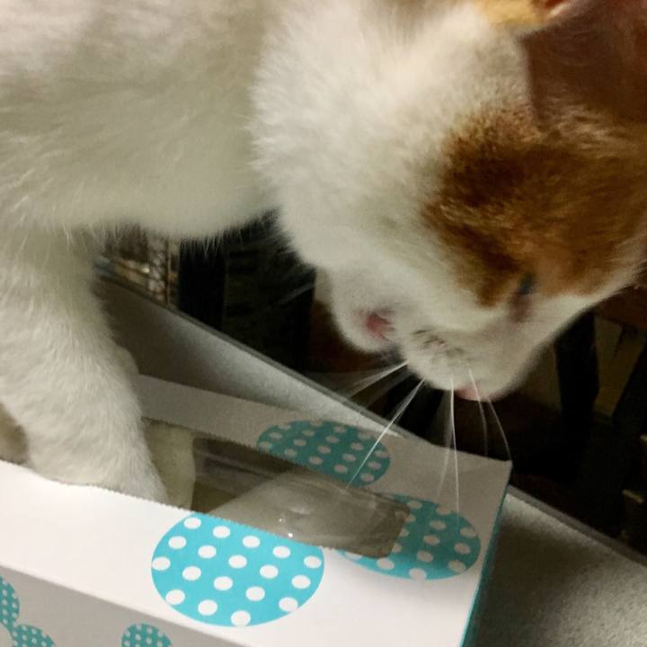 03633bd2 6d01 465e 995d 906ad76d15f5