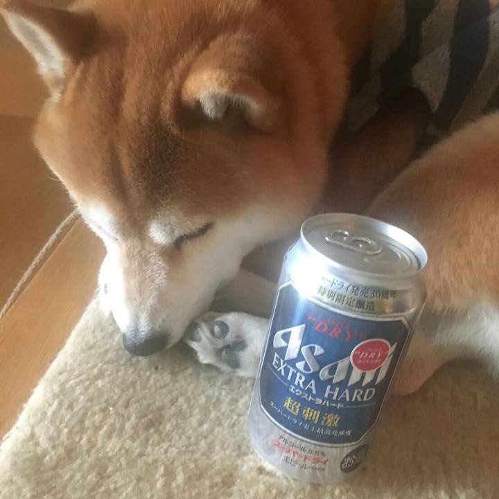 036342bb 9202 409e 99a1 aa569c2d01c5