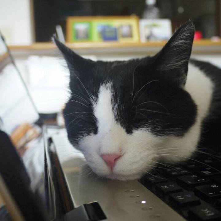 0365d9dc 651a 4ebb b860 6ef628865feb