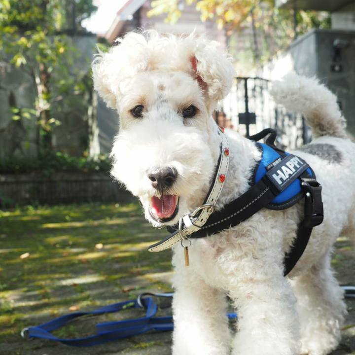 03663fc6 cf4b 4529 8da9 6a0f7367b0a5