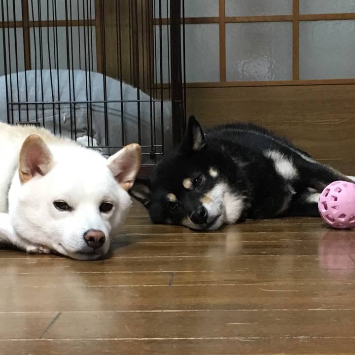 0366a69f d005 498d 985b fc1df004a69c