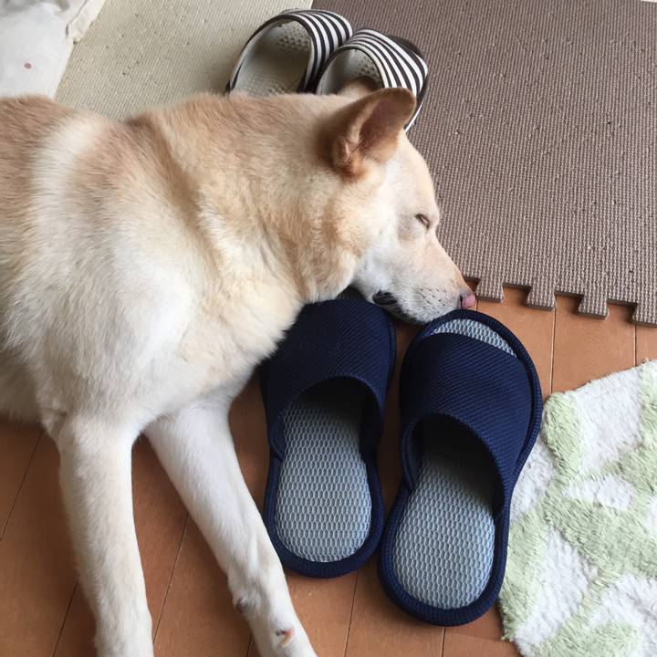 0366c018 ff8a 474b a2b4 32031541e20a