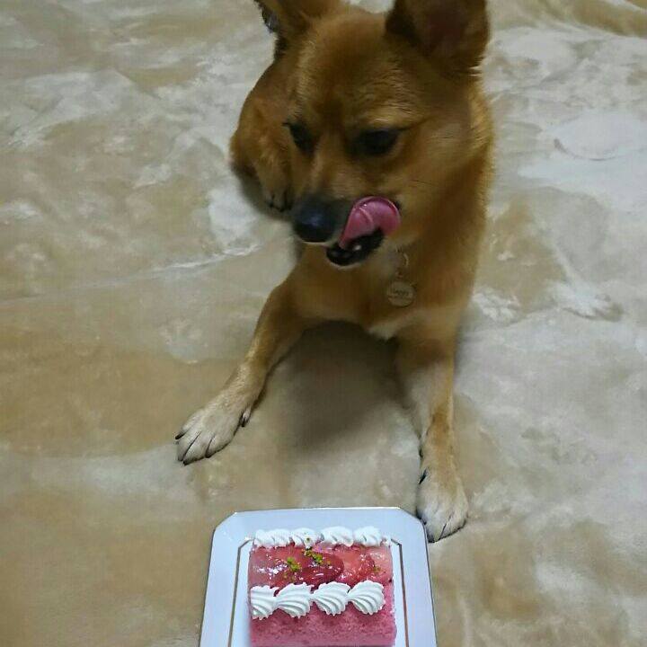 03675913 40dd 44b9 b54b d7d11a2da497