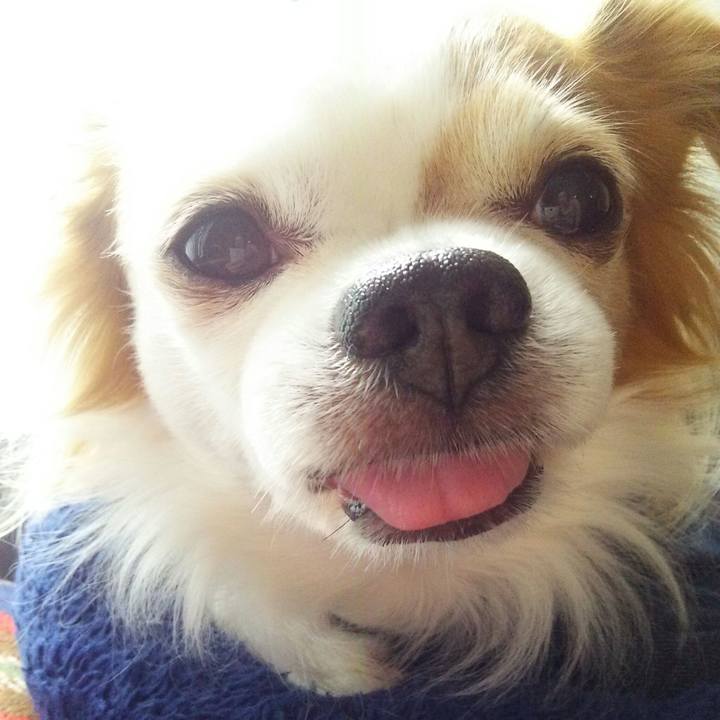 03681903 e258 4f6b a5ac fff565635ccb