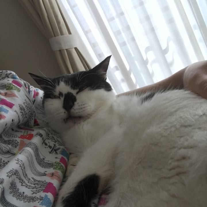 036866ce 40c1 4c44 b00d c332c2e3405e