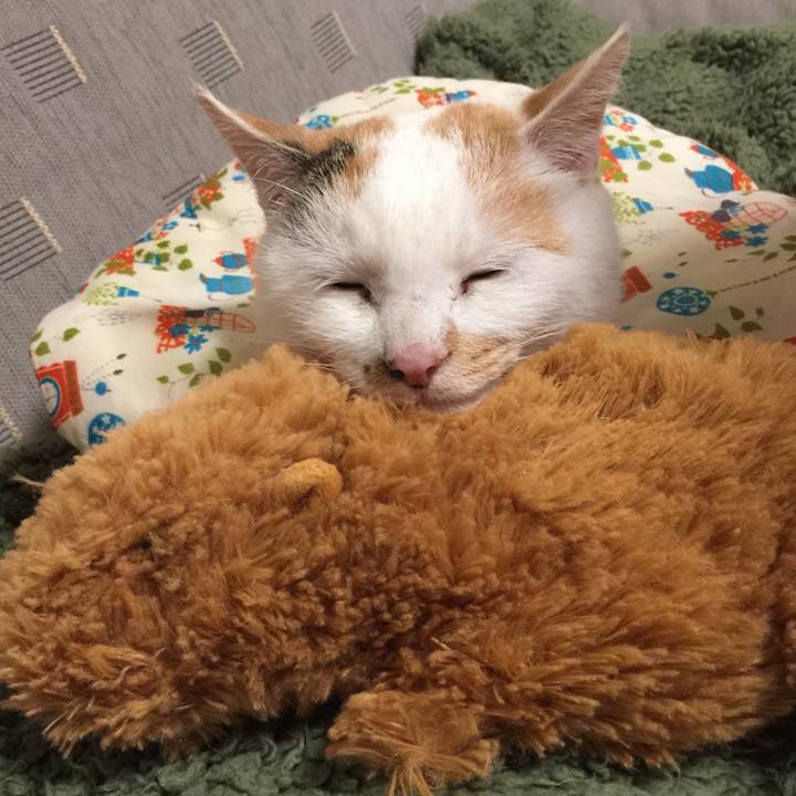 0368af0f 9df0 4729 87a7 90a4bdcb4dfc