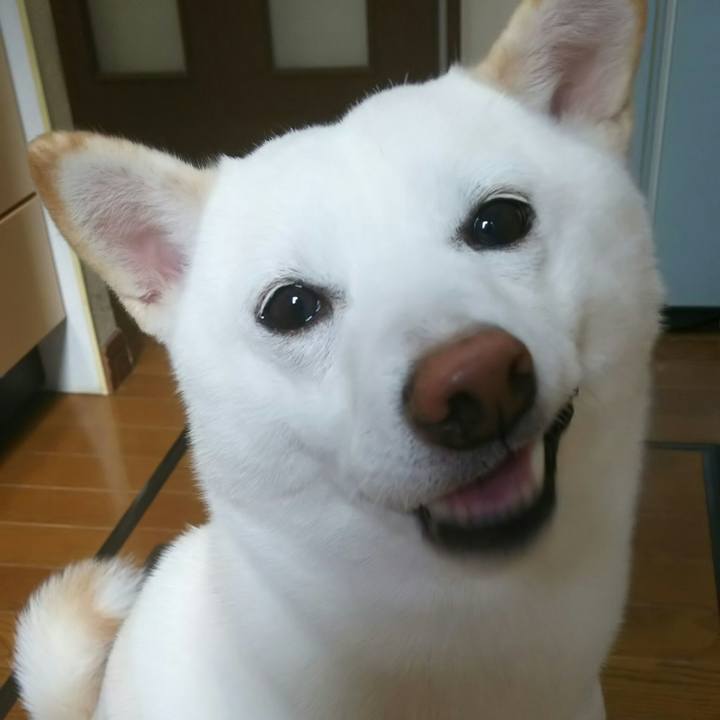 03690df1 44d3 4d7b 9694 646a789e108e