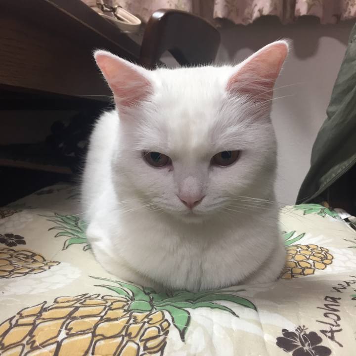 0369df67 403e 498c a7ab b460945f93c3