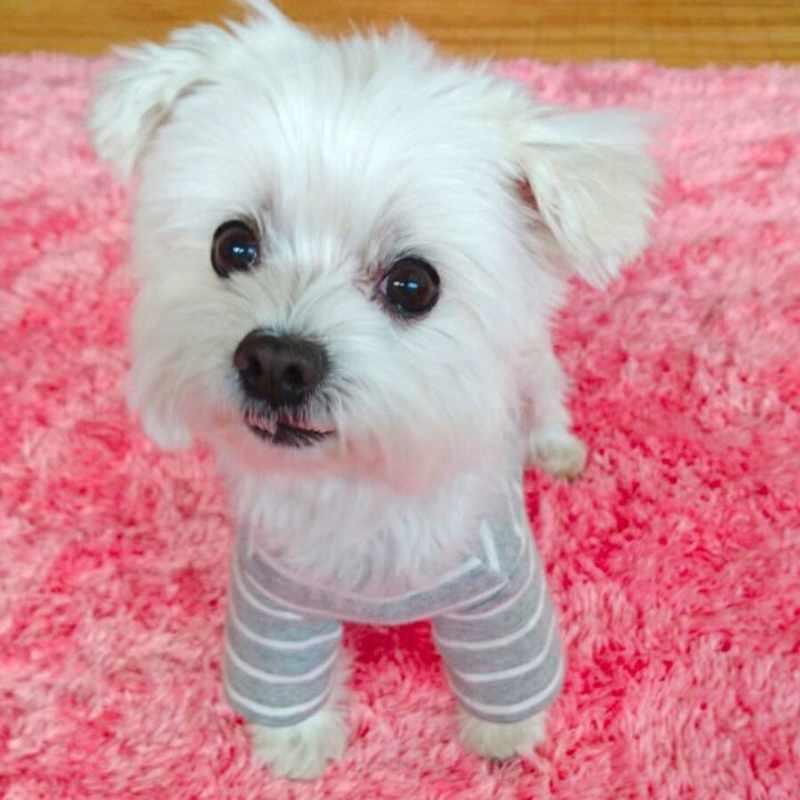 036a40b7 cb5e 49a5 8100 89947b249f94