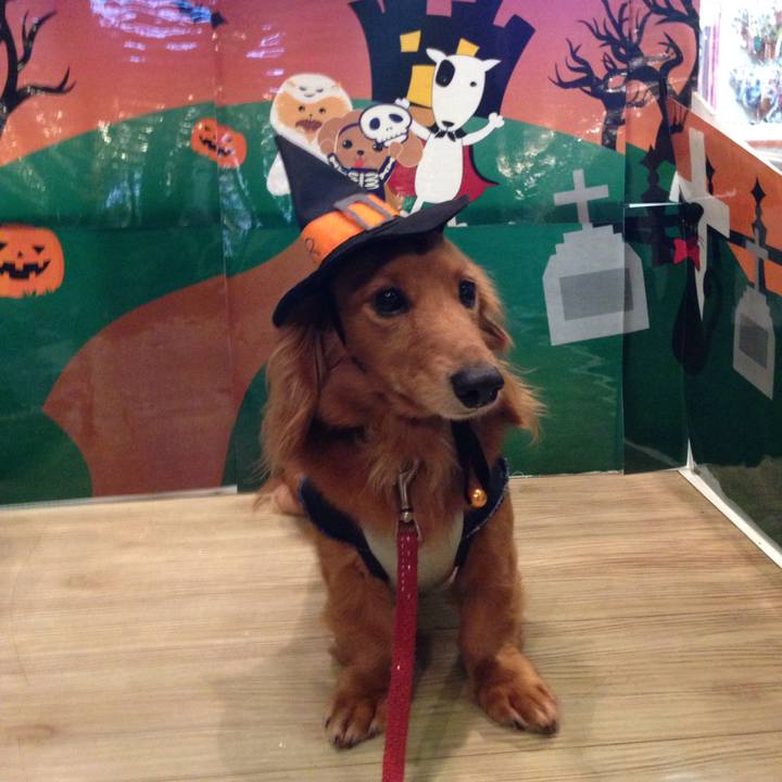 036a8ee6 4e93 43c3 9756 74f9b364c1ec