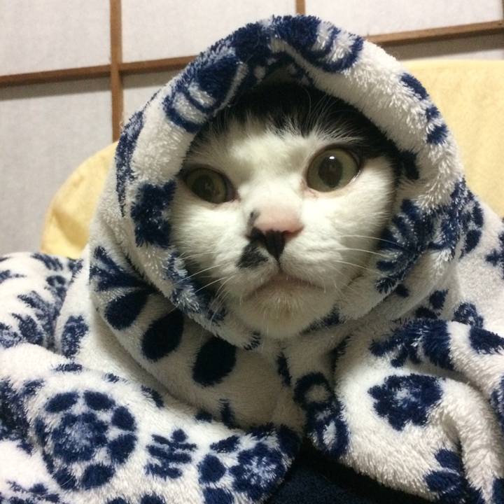 036a9c39 060e 4c14 b8b0 334e9a46300a