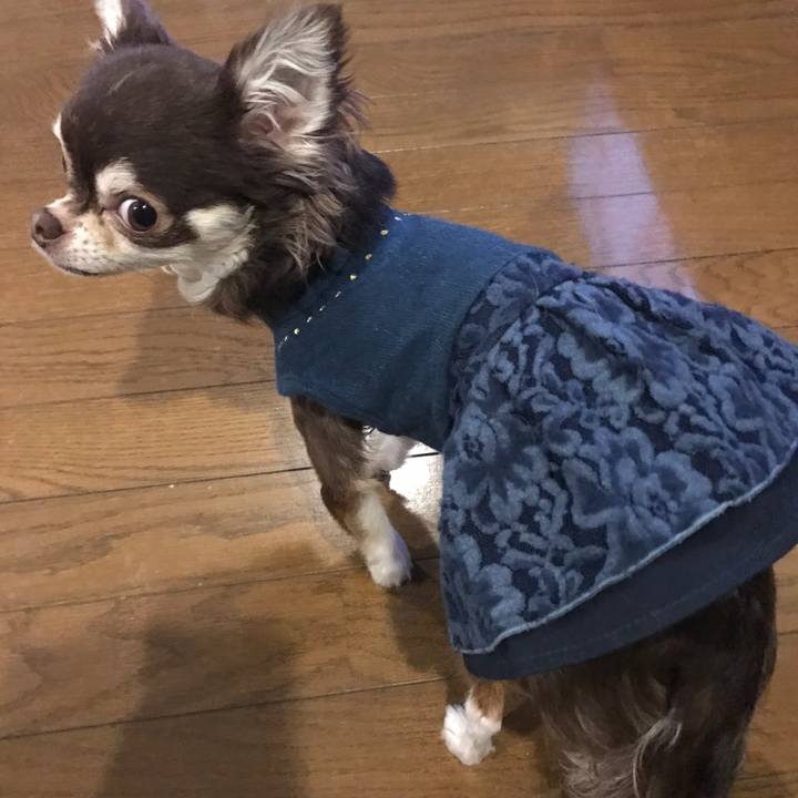 036ac741 86bc 4e68 b3c3 fd8e6731432d