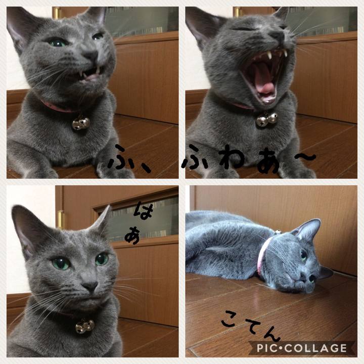 036b7323 bd77 4e99 8853 3097242d6046