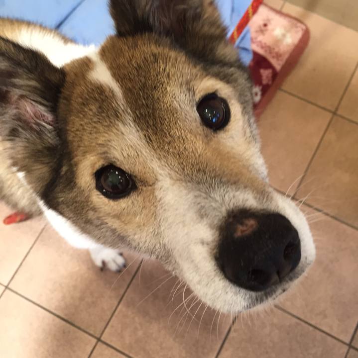 036bd63d e12c 4b8d 803b 1522e0a8b398