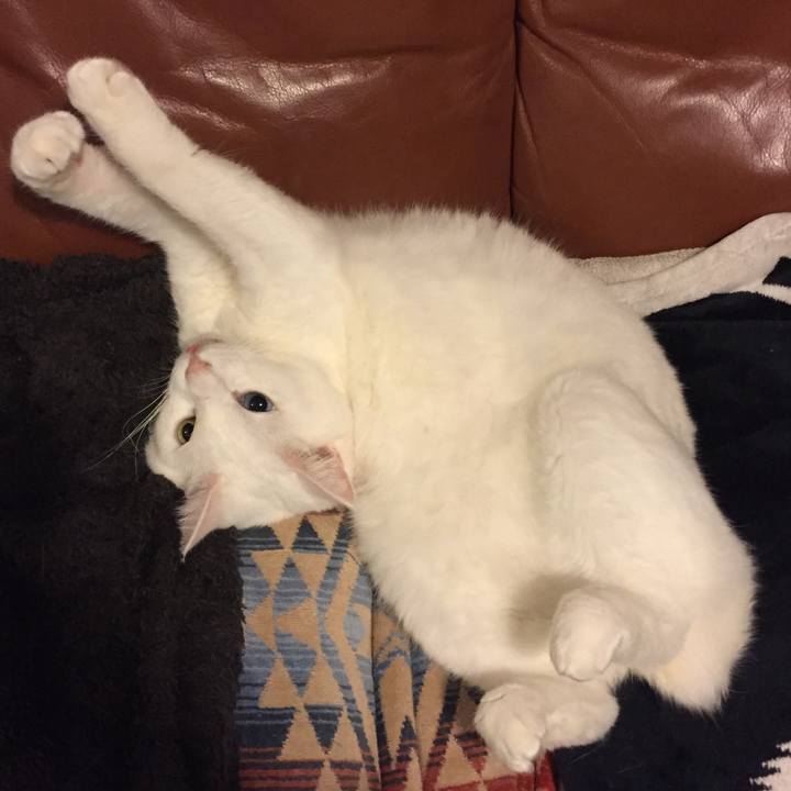 036bdcfb a07f 4ebb b561 275b00032285