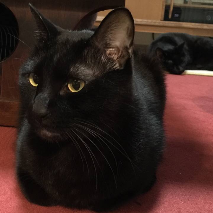 036c3da0 4b0e 449d 869a 9d9f186beb3f