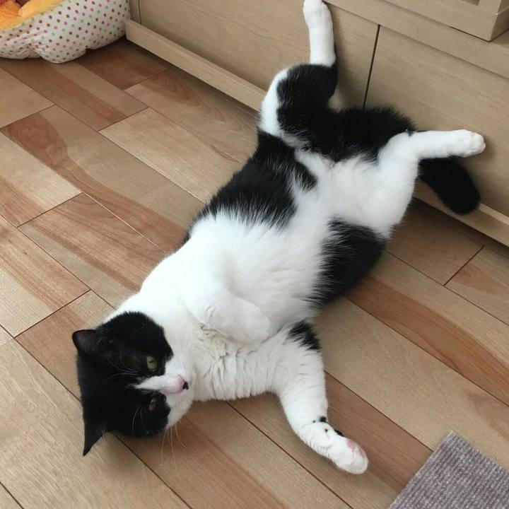 036c9531 c45e 4203 b12c 3d75754f1e1e