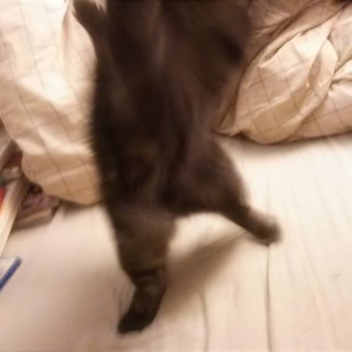 036d1f4e 9526 4581 8a84 7837393f7be3