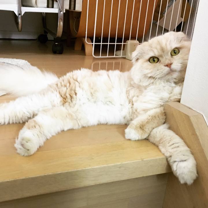 036d5f23 2924 4e9f a442 bcbf4ea5f4f0