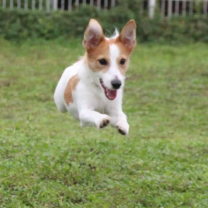 036d6e7b 17e5 4aaa 9862 2b4e9b6d5575