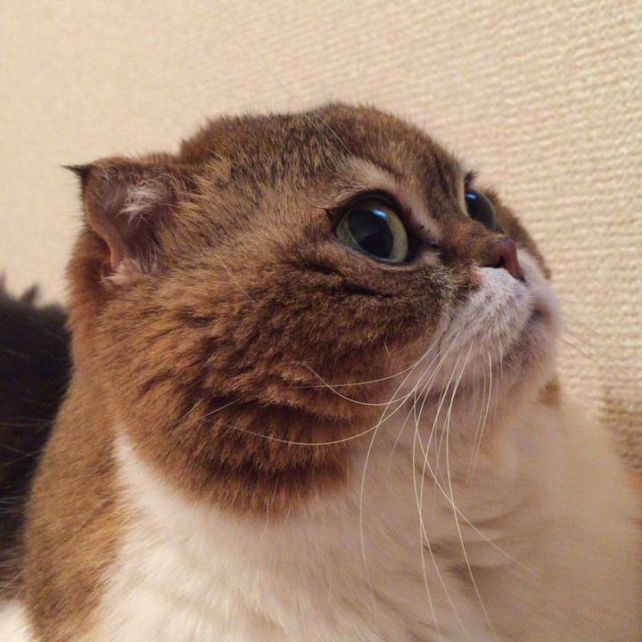 036d9fde 73c5 4b53 b458 2ef449d0563b