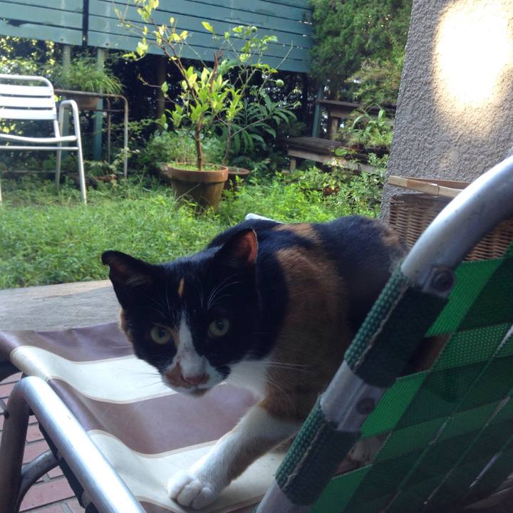 036dac19 000e 41cd 9b7d 948cd545035b