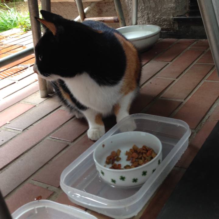 036daee3 8d1f 430e a0f0 8e83c423b254